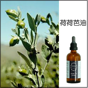 荷荷芭油 荷荷芭油