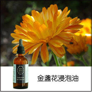 金盞花油浸泡油 金盞花油浸泡油
