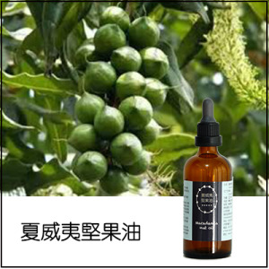 夏威夷堅果油 夏威夷堅果油