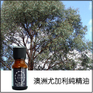 澳洲尤加利純精油 澳洲尤加利純精油