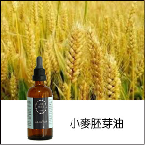 小麥胚芽油 小麥胚芽油