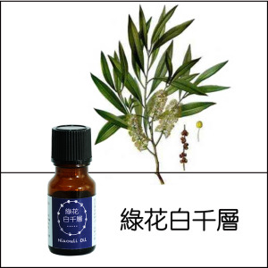 綠花白千層純精油 綠花白千層純精油