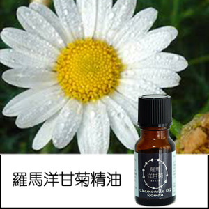 羅馬洋甘菊純精油 羅馬洋甘菊純精油