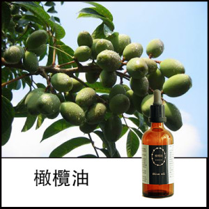 橄欖油 橄欖油