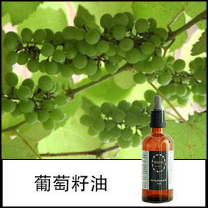 葡萄籽油 葡萄籽油