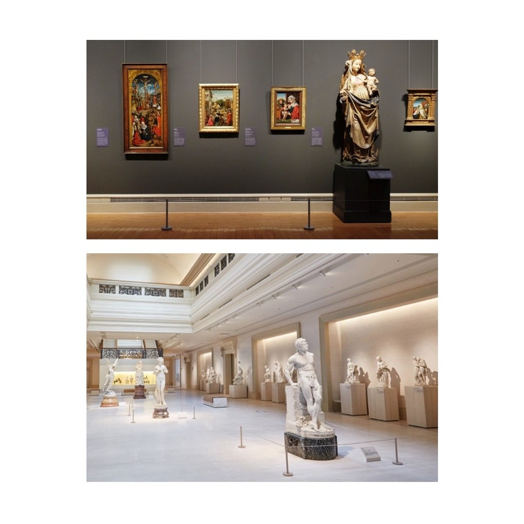 藝廊展示柱使用情境:低矮柱子搭配彈力繩,圍住博物館展品