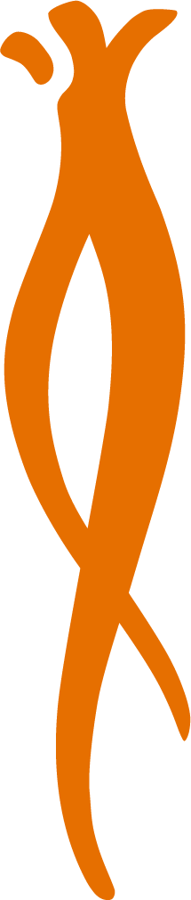 金太武品牌標誌