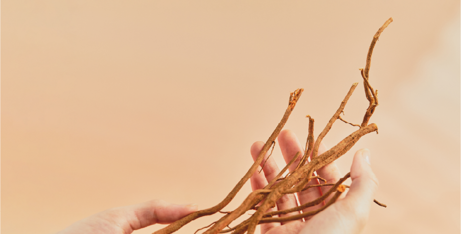 手捧金門一條根