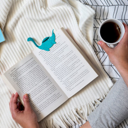 發現尼斯書籤 發現尼斯書籤