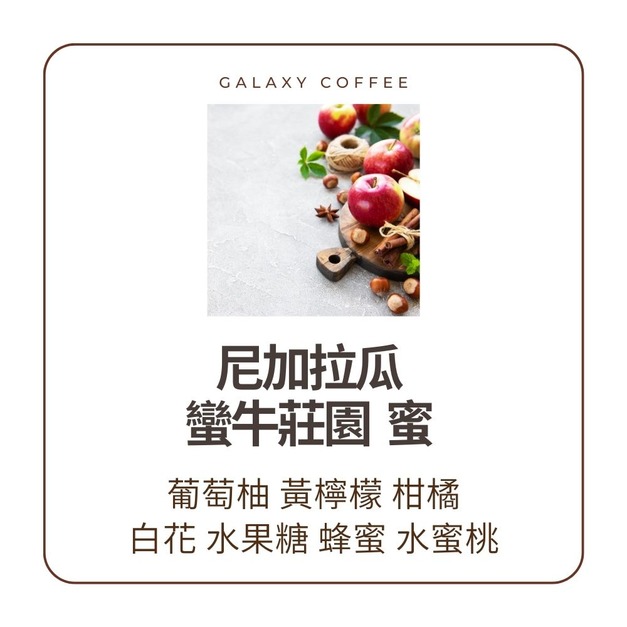 【淺中焙】尼加拉瓜 |蠻牛莊園| 蜜 H1品種 【淺中焙】尼加拉瓜 |蠻牛莊園| 蜜 H1品種