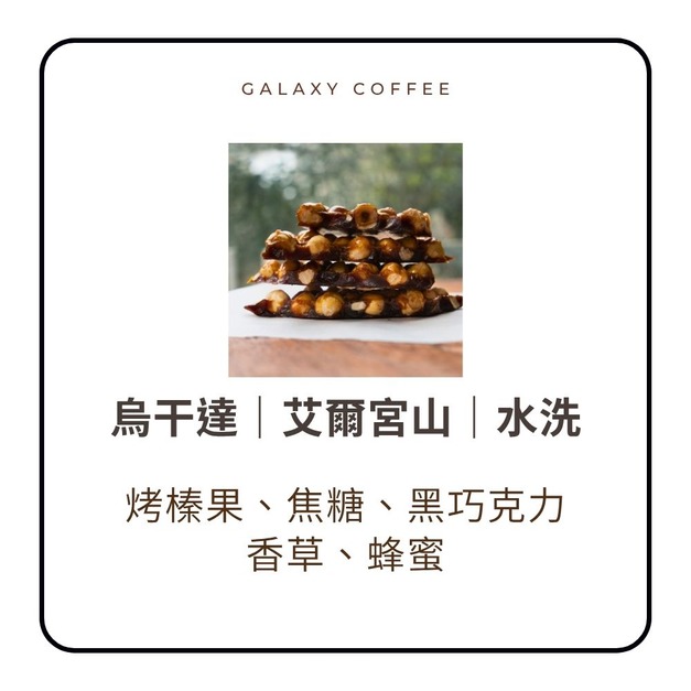 【淺中焙】烏干達|艾爾宮山|水洗 【淺中焙】烏干達|艾爾宮山|水洗