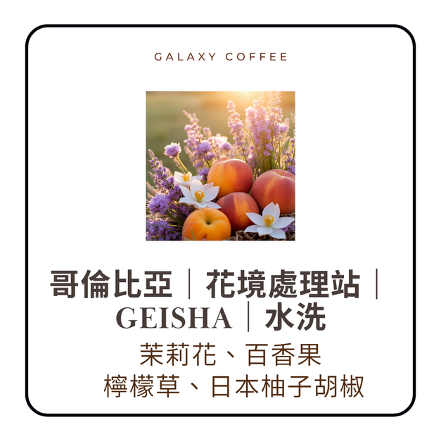 【淺中焙】哥倫比亞|花境處理站|Geisha|水洗 【淺中焙】哥倫比亞|花境處理站|Geisha|水洗