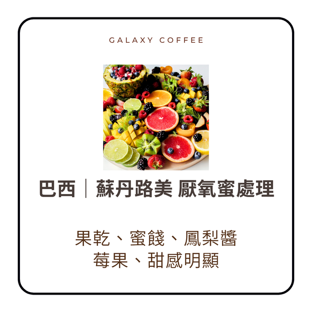 【淺焙】巴西|蘇丹路美 厭氧蜜處理 【淺焙】巴西|蘇丹路美 厭氧蜜處理