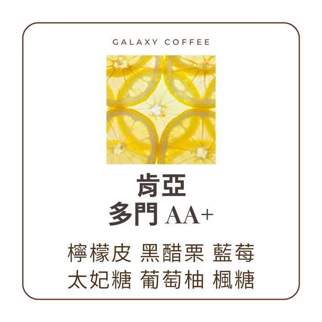 【中焙】肯亞|多門 AA TOP 【中焙】肯亞|多門 AA TOP