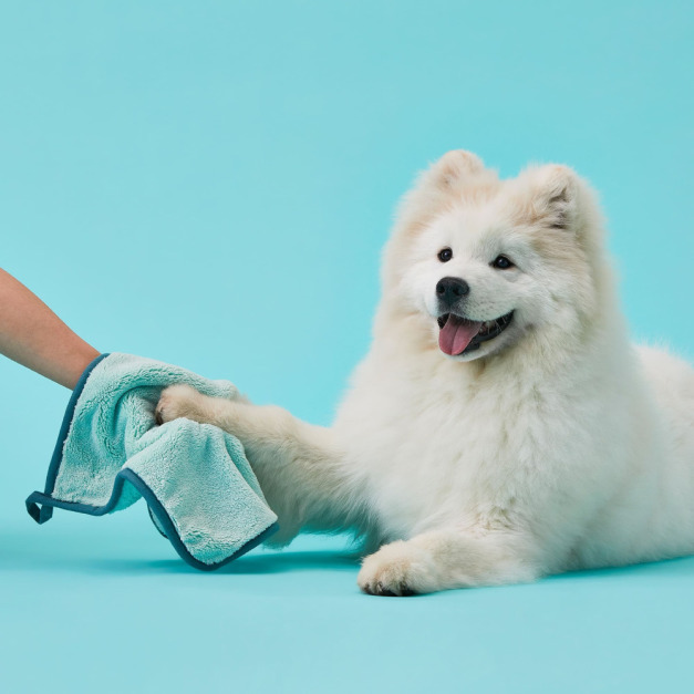 寵物軟綿綿毛巾 寵物軟綿綿毛巾