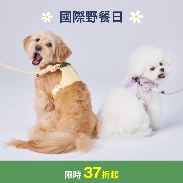 蹦跳胸背帶(三色) 蹦跳胸背帶(三色)