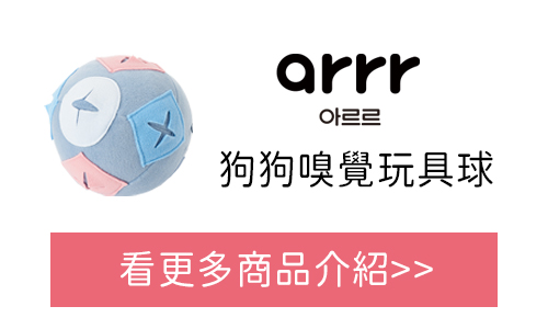 arrr 狗狗嗅覺玩具球