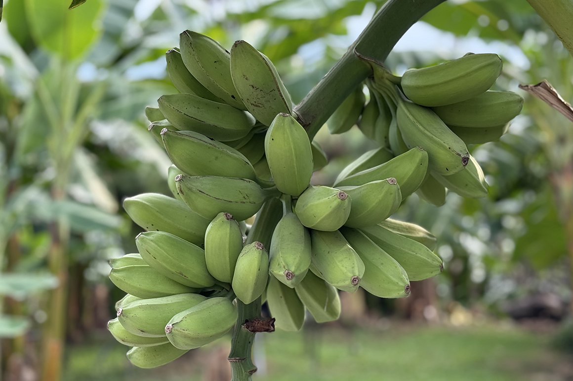 填圖片名稱有助SEO