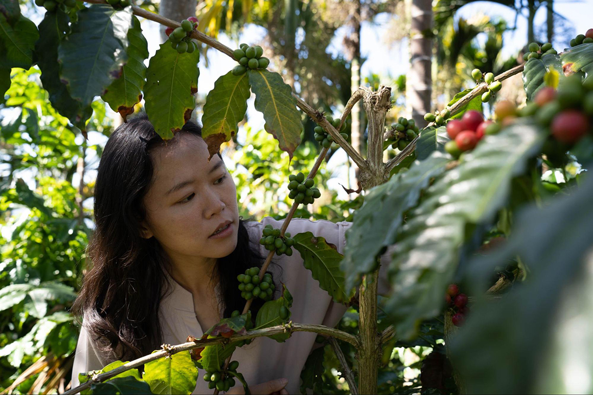 填圖片名稱有助SEO