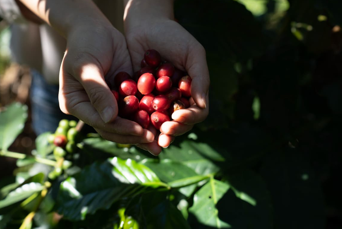 填圖片名稱有助SEO