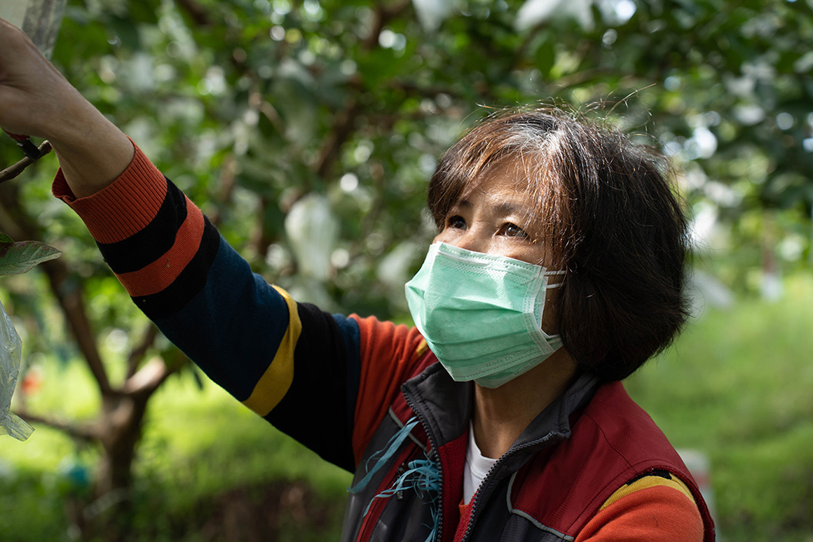 填圖片名稱有助SEO