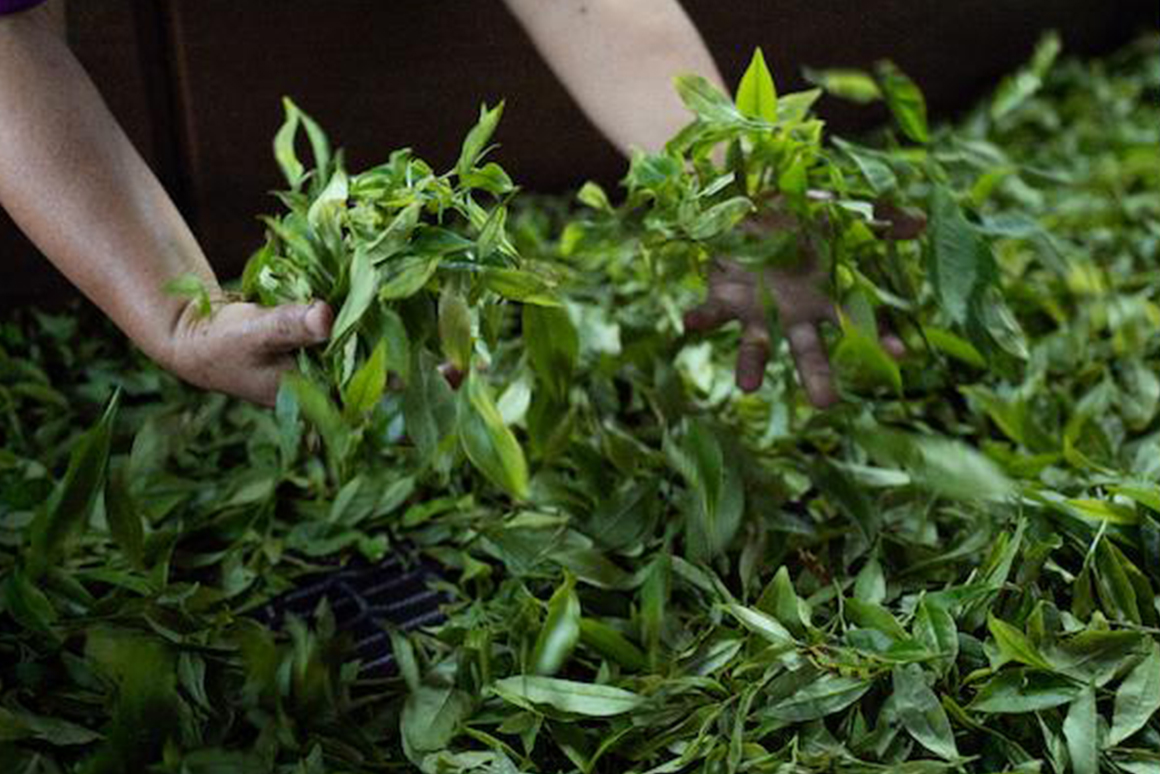 填圖片名稱有助SEO