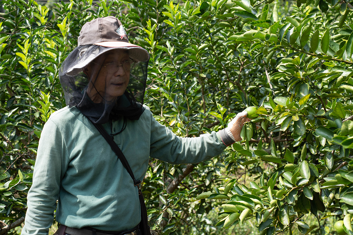 填圖片名稱有助SEO