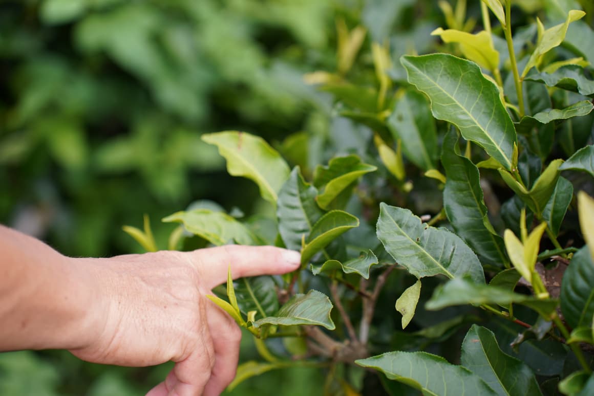 填圖片名稱有助SEO