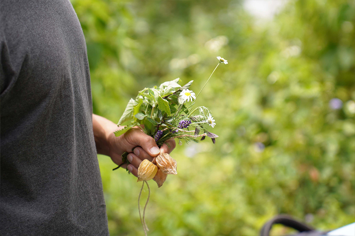 填圖片名稱有助SEO