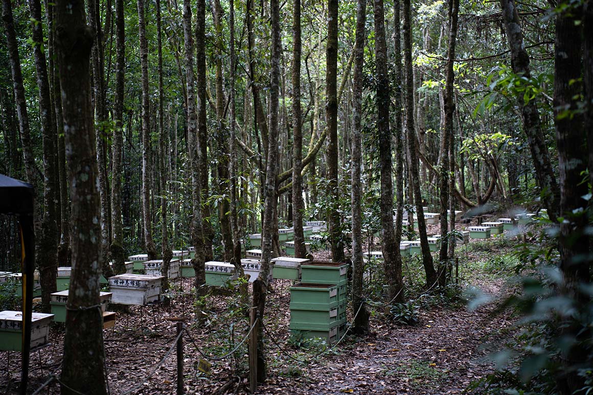 填圖片名稱有助SEO