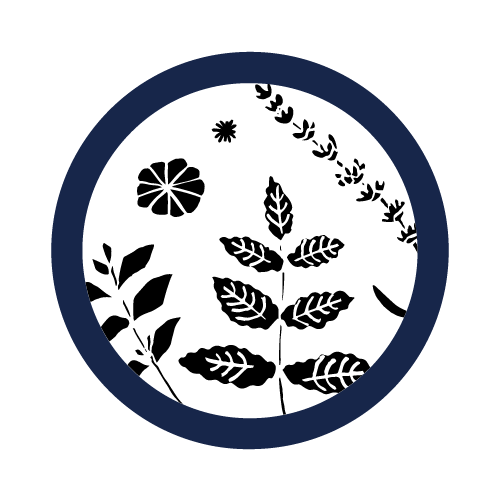 填圖片名稱有助SEO