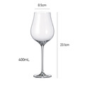 【CRYSTAL BOHEMIA】LIMOSA 花漾系列 水晶玻璃杯 白酒杯 紅酒杯 笛型香檳杯 啤酒杯 高腳杯_8 【CRYSTAL BOHEMIA】LIMOSA 花漾系列 水晶玻璃杯 白酒杯 紅酒杯 笛型香檳杯 啤酒杯 高腳杯_8