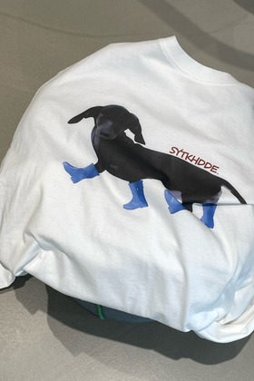 雨鞋臘腸小狗長袖踢 雨鞋臘腸小狗長袖踢