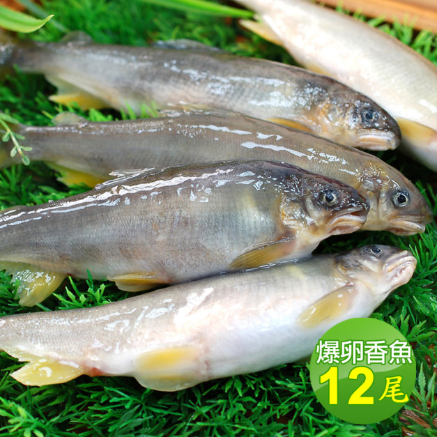 宜蘭母香魚12尾 (920g/盒)*(有卵)*-任選 宜蘭母香魚12尾 (920g/盒)*(有卵)*-任選