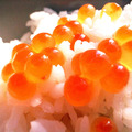 *日本原裝醬油漬鮭魚卵(約500g/盒)_2 *日本原裝醬油漬鮭魚卵(約500g/盒)_2