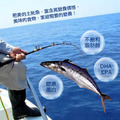 XL厚切土魠魚(300g/片)-任選_2 XL厚切土魠魚(300g/片)-任選_2