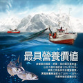 超大厚片210g-挪威薄鹽鯖魚_任選_1 超大厚片210g-挪威薄鹽鯖魚_任選_1