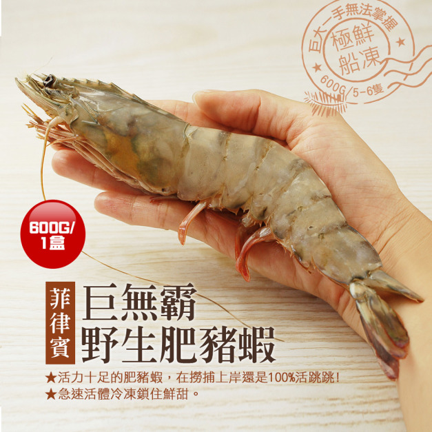 特大|野生肥豬蝦(6-8尾/600g/盒) 特大|野生肥豬蝦(6-8尾/600g/盒)