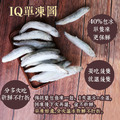 帶卵柳葉魚10包(約250g/包)-免運_2 帶卵柳葉魚10包(約250g/包)-免運_2