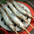 北歐帶卵柳葉魚(約250g/包)-任選_4 北歐帶卵柳葉魚(約250g/包)-任選_4