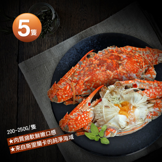 *斯里蘭卡生凍母花蟹5隻(200-250g/隻) *斯里蘭卡生凍母花蟹5隻(200-250g/隻)