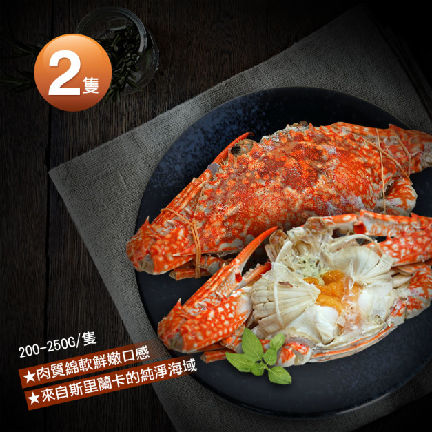 生凍母花蟹 x2隻(200-250g/隻)*斯里蘭卡*_任選 生凍母花蟹 x2隻(200-250g/隻)*斯里蘭卡*_任選
