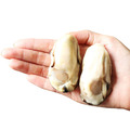 2L(特大)廣島牡蠣X10顆(40g/顆) -任選_1 2L(特大)廣島牡蠣X10顆(40g/顆) -任選_1