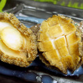 帶殼鮑魚(1kg/約18-25粒/盒)_1 帶殼鮑魚(1kg/約18-25粒/盒)_1