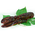 *海鮮大禮包(頂級波士頓高壓龍蝦(650g/隻)+大連鮑魚(18-22顆/1KG)_2 *海鮮大禮包(頂級波士頓高壓龍蝦(650g/隻)+大連鮑魚(18-22顆/1KG)_2
