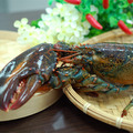 *海鮮大禮包(頂級波士頓高壓龍蝦(650g/隻)+大連鮑魚(18-22顆/1KG)_3 *海鮮大禮包(頂級波士頓高壓龍蝦(650g/隻)+大連鮑魚(18-22顆/1KG)_3