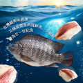 健身餐拼盤(鮭魚5片+特大鯛魚清肉5片)_6 健身餐拼盤(鮭魚5片+特大鯛魚清肉5片)_6