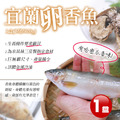 巨無霸XXL宜蘭爆卵母香魚5尾/920G/盒 巨無霸XXL宜蘭爆卵母香魚5尾/920G/盒