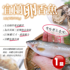 巨無霸XXL宜蘭爆卵母香魚5尾/920G/盒 巨無霸XXL宜蘭爆卵母香魚5尾/920G/盒