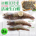手掌大|蝦王|21/25生白蝦X3盒(500G/約10尾)免運 手掌大|蝦王|21/25生白蝦X3盒(500G/約10尾)免運